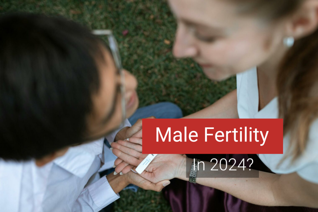 male fertility in 2024